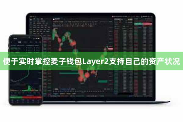 便于实时掌控麦子钱包Layer2支持自己的资产状况