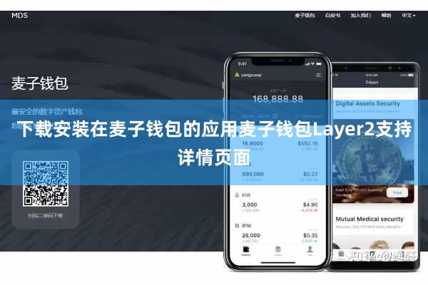 下载安装在麦子钱包的应用麦子钱包Layer2支持详情页面