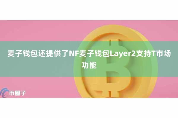 麦子钱包还提供了NF麦子钱包Layer2支持T市场功能