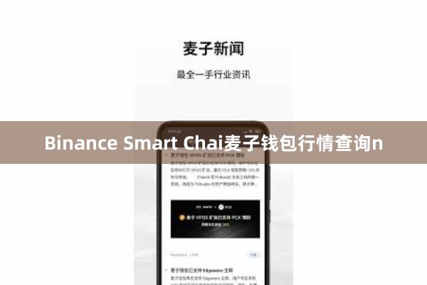 Binance Smart Chai麦子钱包行情查询n