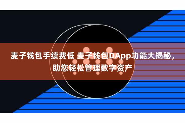 麦子钱包手续费低 麦子钱包DApp功能大揭秘，助您轻松管理数字资产