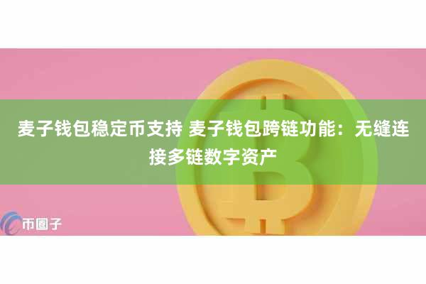 麦子钱包稳定币支持 麦子钱包跨链功能：无缝连接多链数字资产