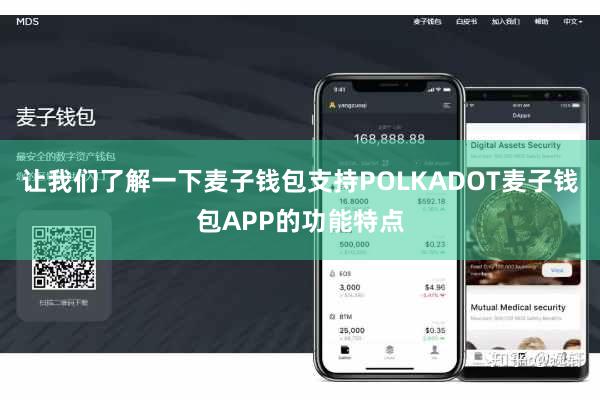 让我们了解一下麦子钱包支持POLKADOT麦子钱包APP的功能特点