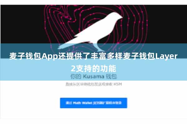 麦子钱包App还提供了丰富多样麦子钱包Layer2支持的功能