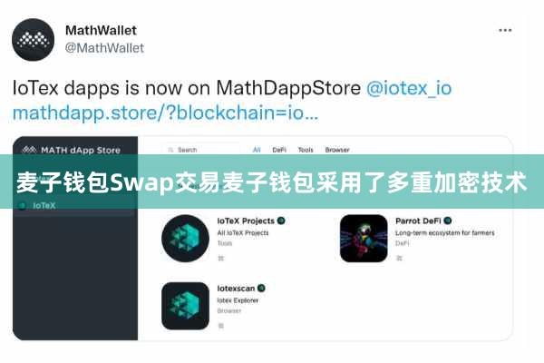 麦子钱包Swap交易麦子钱包采用了多重加密技术
