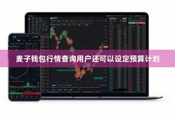 麦子钱包行情查询用户还可以设定预算计划
