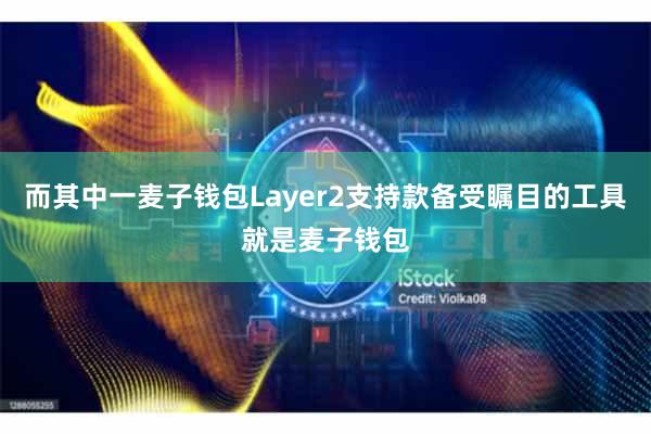 而其中一麦子钱包Layer2支持款备受瞩目的工具就是麦子钱包