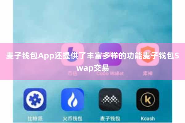 麦子钱包App还提供了丰富多样的功能麦子钱包Swap交易