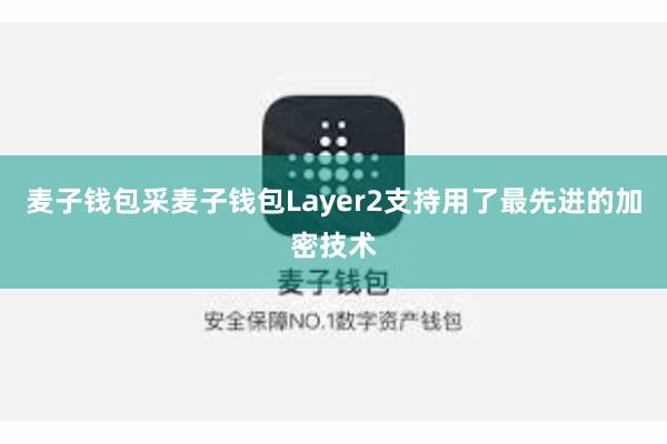 麦子钱包采麦子钱包Layer2支持用了最先进的加密技术