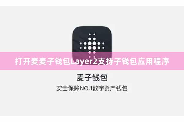 打开麦麦子钱包Layer2支持子钱包应用程序
