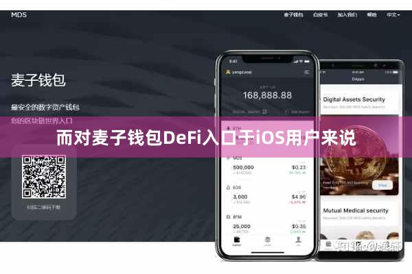 而对麦子钱包DeFi入口于iOS用户来说