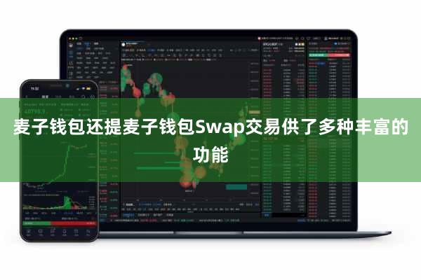 麦子钱包还提麦子钱包Swap交易供了多种丰富的功能