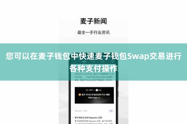 您可以在麦子钱包中快速麦子钱包Swap交易进行各种支付操作
