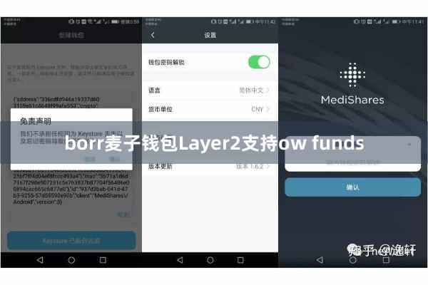borr麦子钱包Layer2支持ow funds