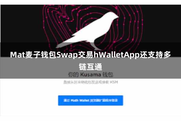 Mat麦子钱包Swap交易hWalletApp还支持多链互通