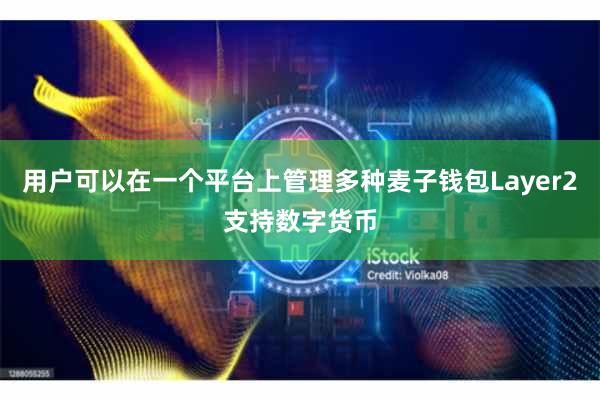 用户可以在一个平台上管理多种麦子钱包Layer2支持数字货币