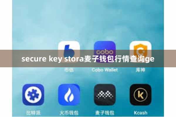 secure key stora麦子钱包行情查询ge