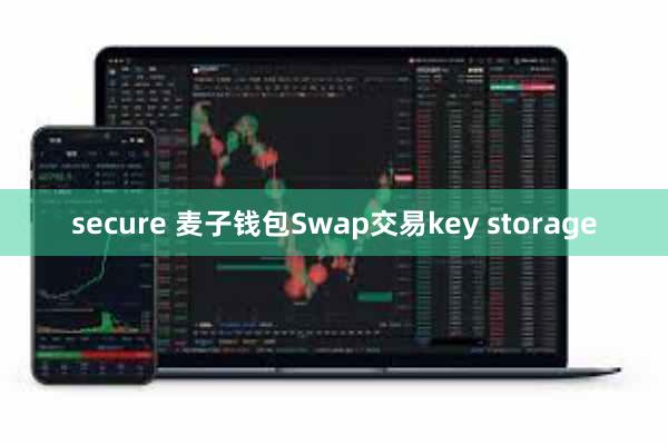 secure 麦子钱包Swap交易key storage