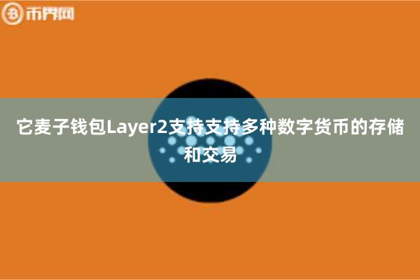 它麦子钱包Layer2支持支持多种数字货币的存储和交易