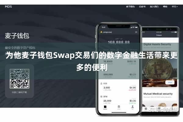 为他麦子钱包Swap交易们的数字金融生活带来更多的便利