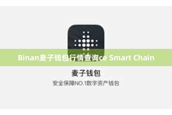 Binan麦子钱包行情查询ce Smart Chain