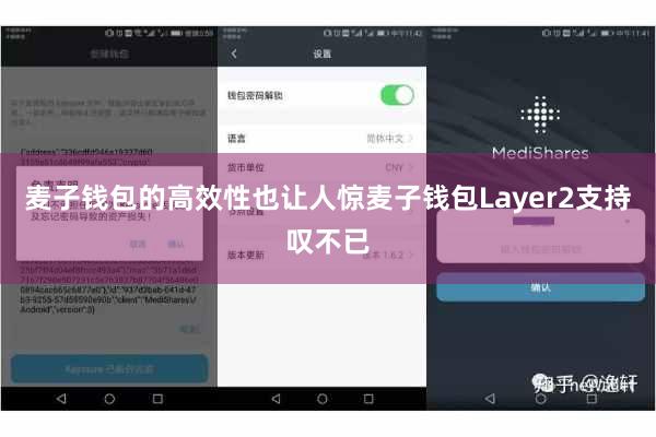 麦子钱包的高效性也让人惊麦子钱包Layer2支持叹不已
