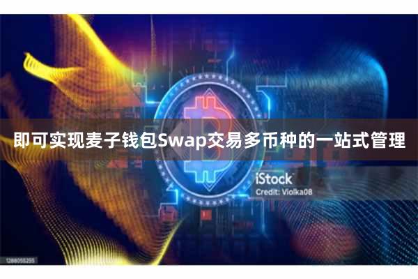 即可实现麦子钱包Swap交易多币种的一站式管理