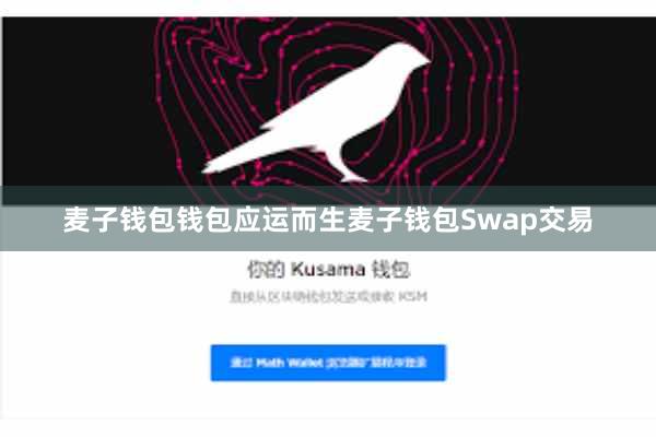 麦子钱包钱包应运而生麦子钱包Swap交易
