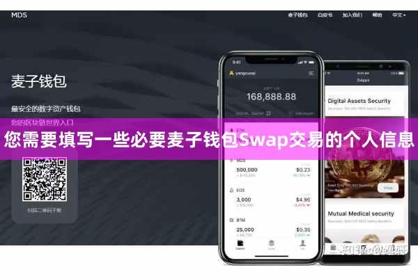 您需要填写一些必要麦子钱包Swap交易的个人信息