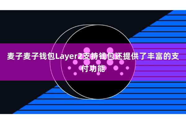 麦子麦子钱包Layer2支持钱包还提供了丰富的支付功能