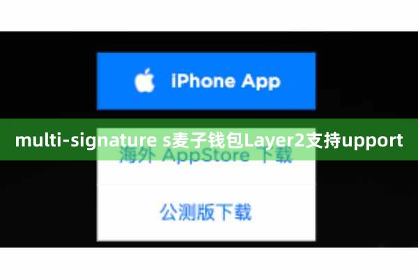 multi-signature s麦子钱包Layer2支持upport