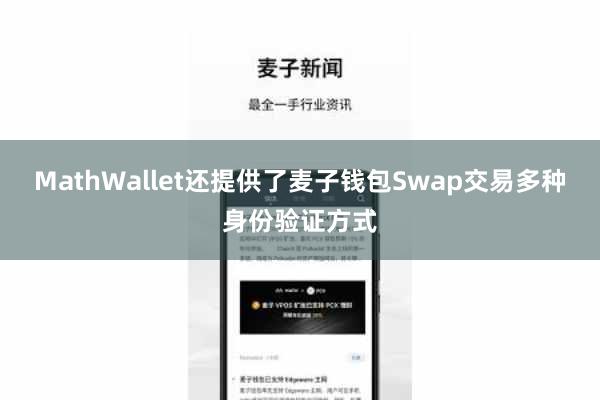 MathWallet还提供了麦子钱包Swap交易多种身份验证方式
