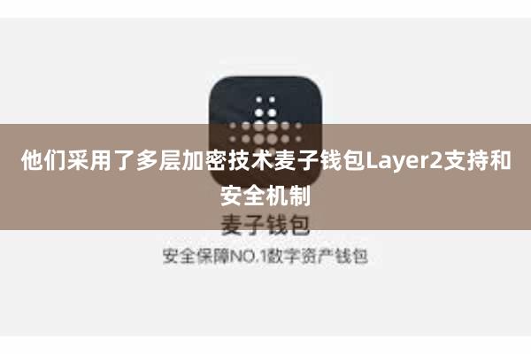 他们采用了多层加密技术麦子钱包Layer2支持和安全机制
