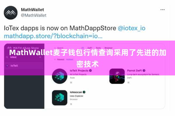 MathWallet麦子钱包行情查询采用了先进的加密技术